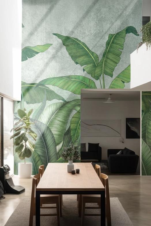 Big Leaves