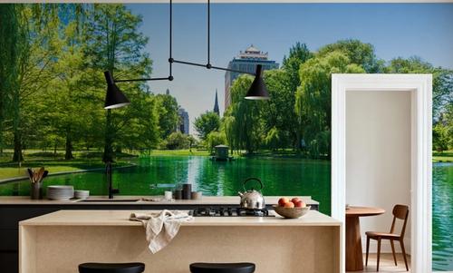 Boston Common Lake
