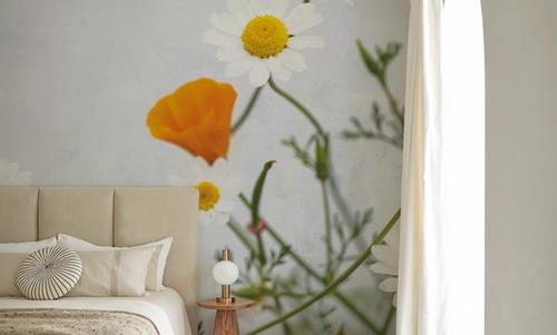Daisies