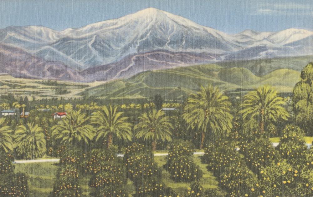 Greetings from the Country Side - Screenprint Postcard