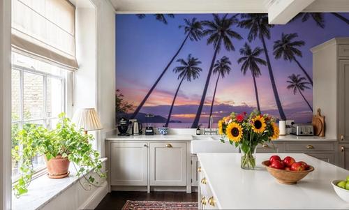 Sunset Palm Vista