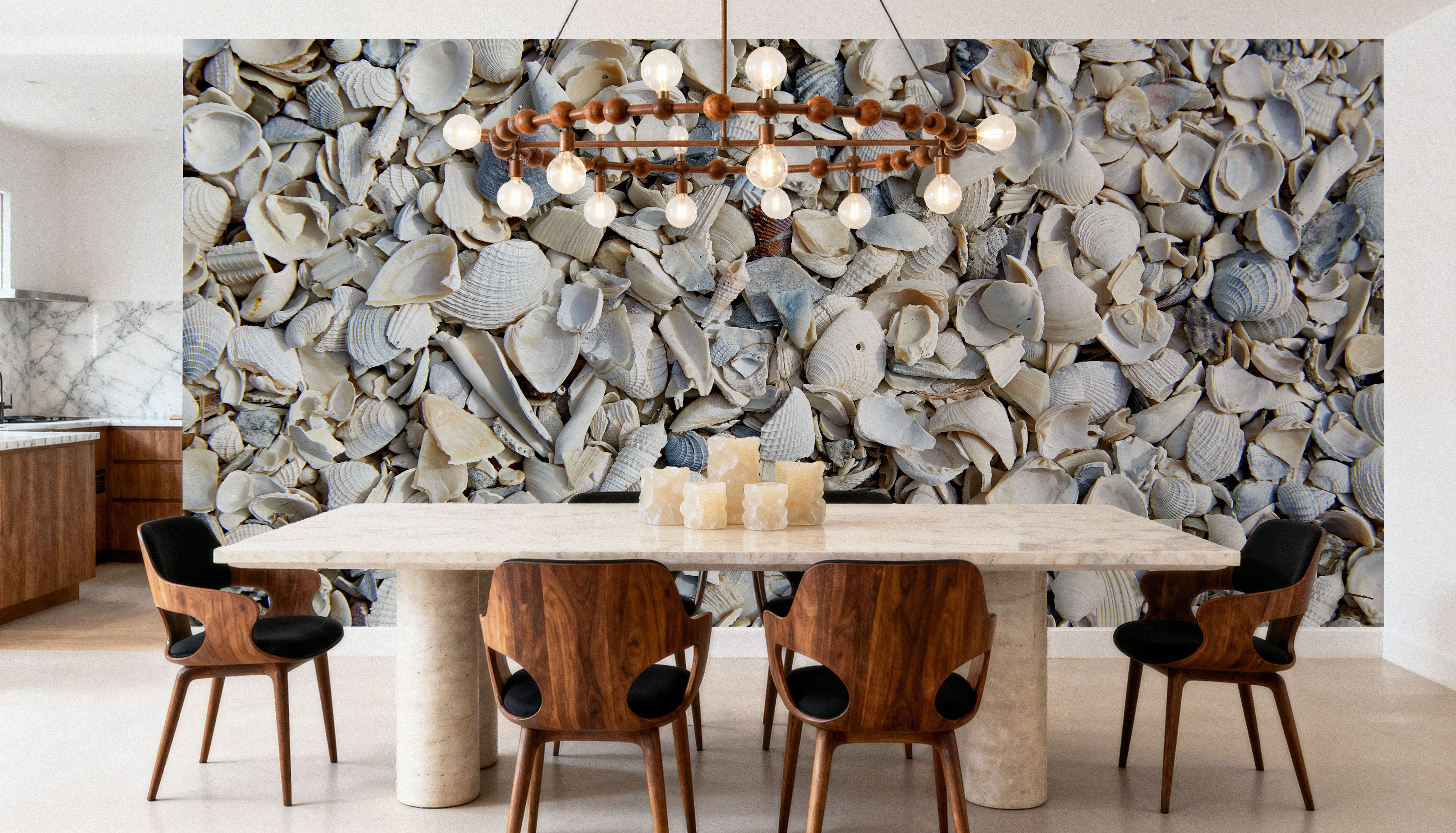 Fort Myers Sea Shells