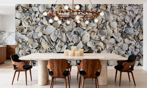 Fort Myers Sea Shells