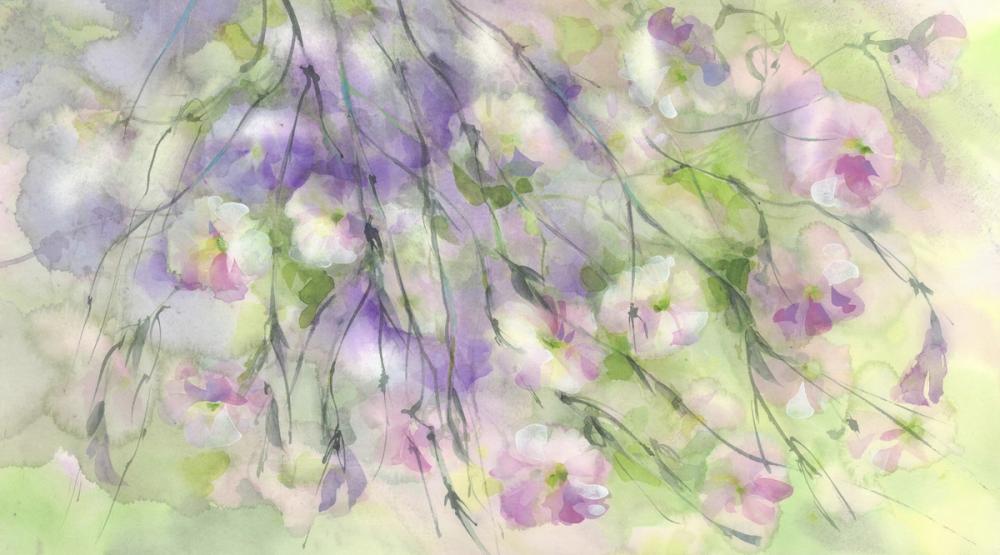Sweet Pea Dream