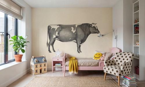 Moo