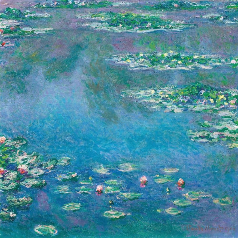 Water Lilies