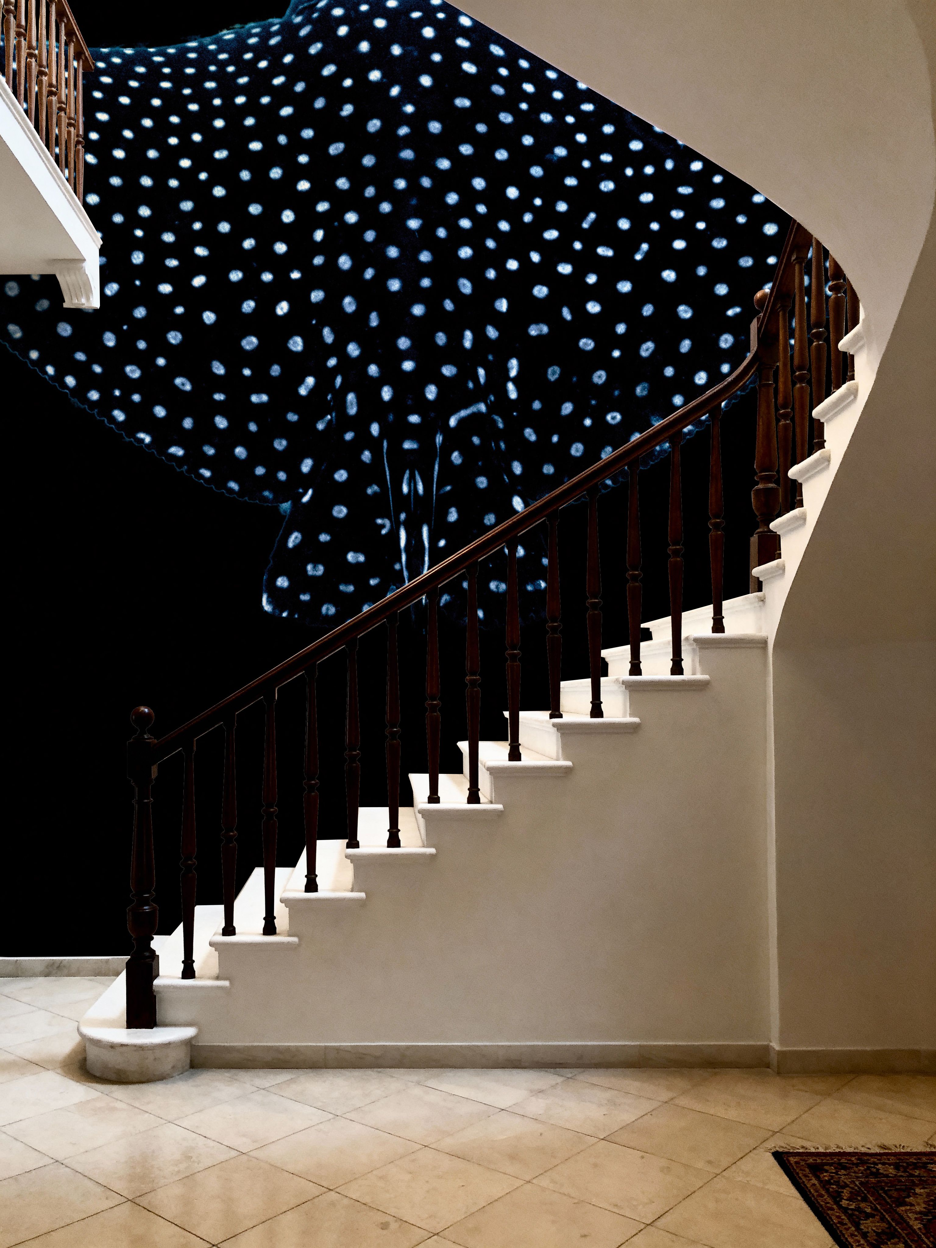 Eagle Ray Sway