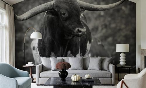 Longhorn Gaze I BW