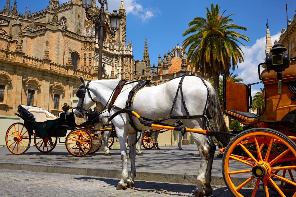 Seville Horse Carriages