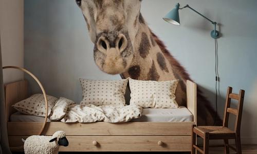 Giraffe Portrait I