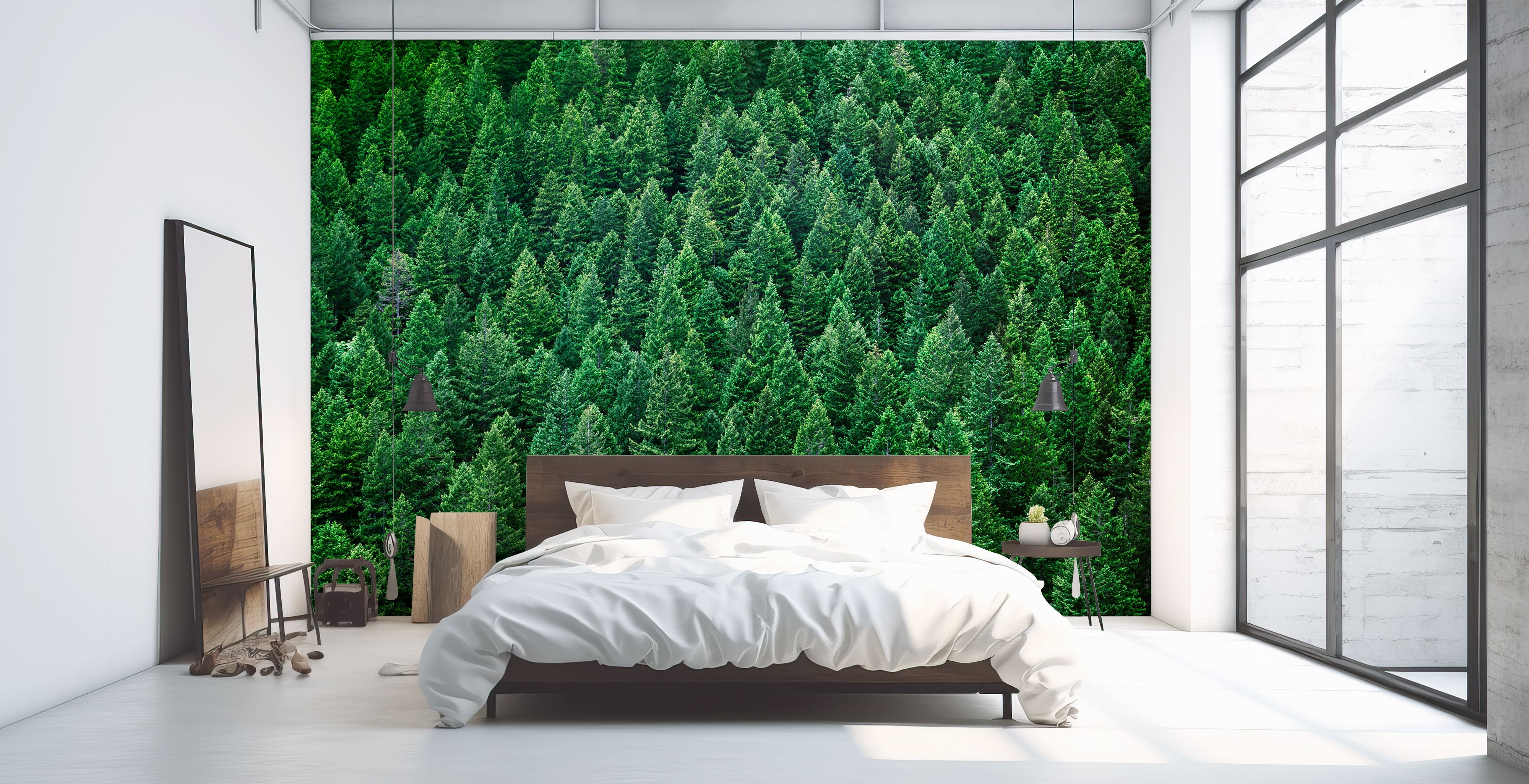 Olympic National Forest, Washington State premium wallpaper mural ...
