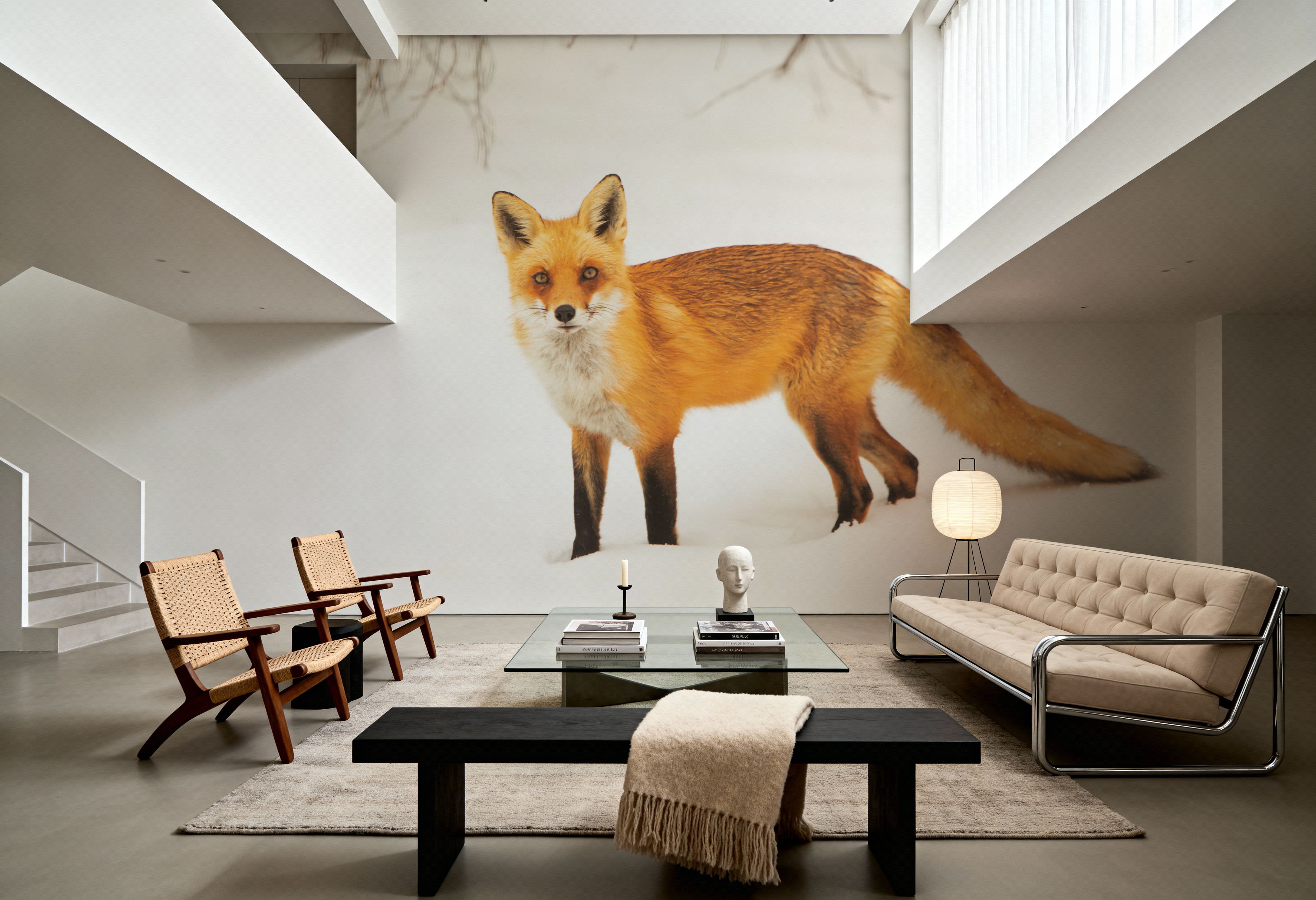 Red Fox IV