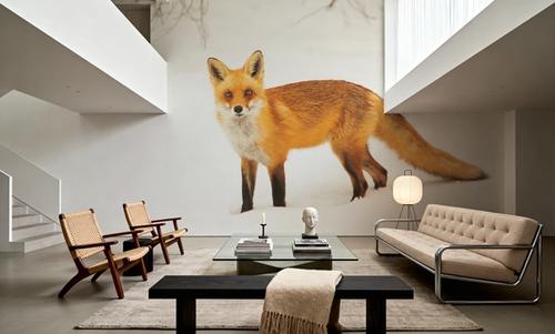 Red Fox IV
