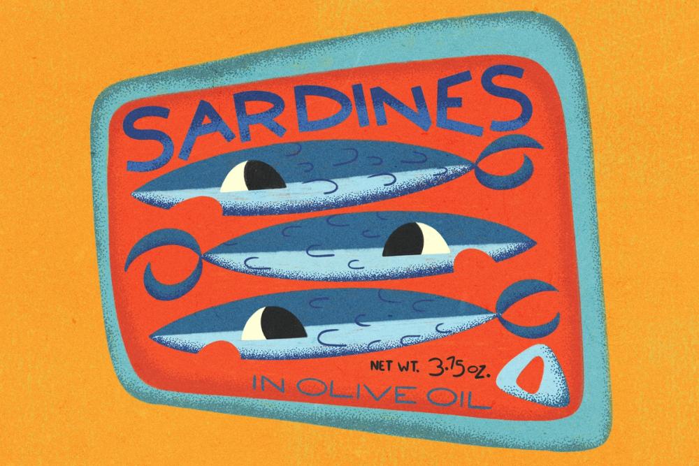 Canned Sardines