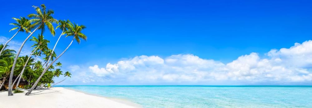 Tropical Beach, Bora Bora