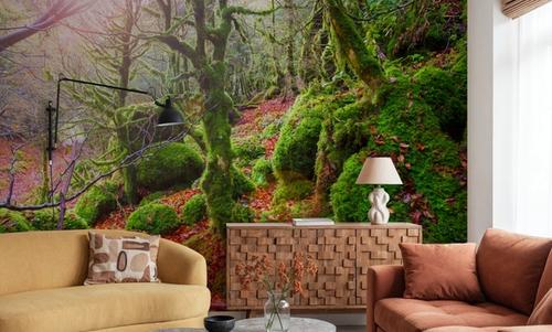 Pyrenees Moss I