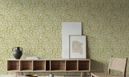 Hydrangea, Pistachio