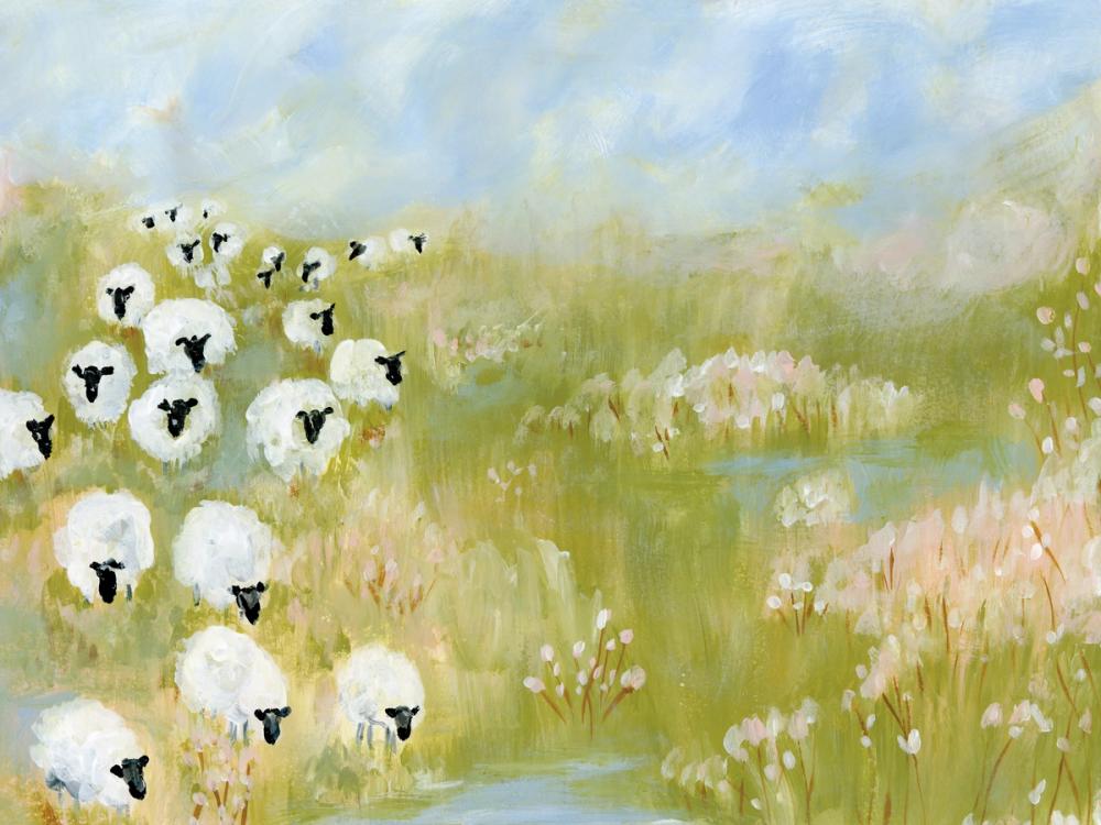Wildflower Woods Sheep in Pasture