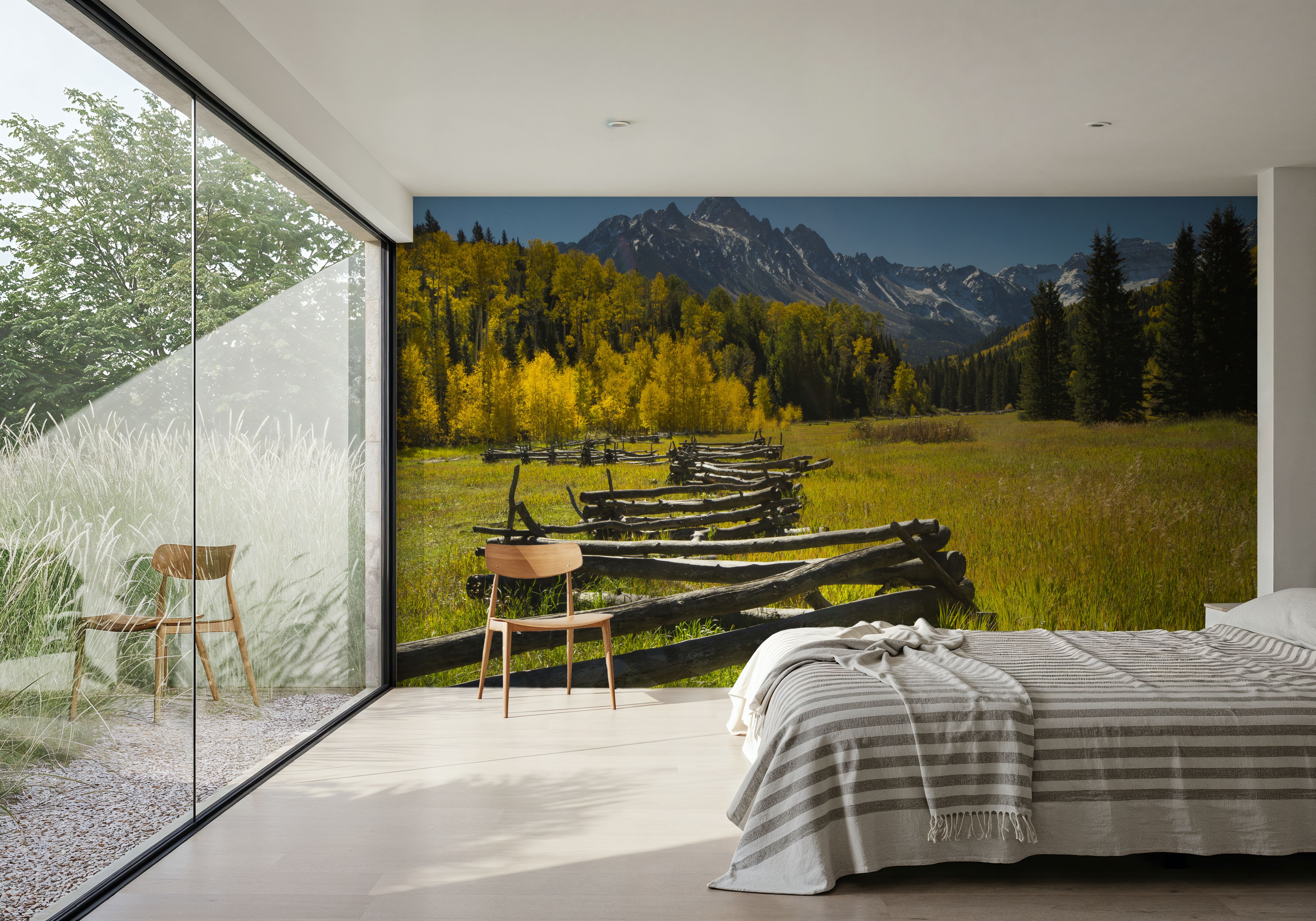 Mountain Meadow Path