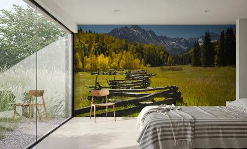 Mountain Meadow Path