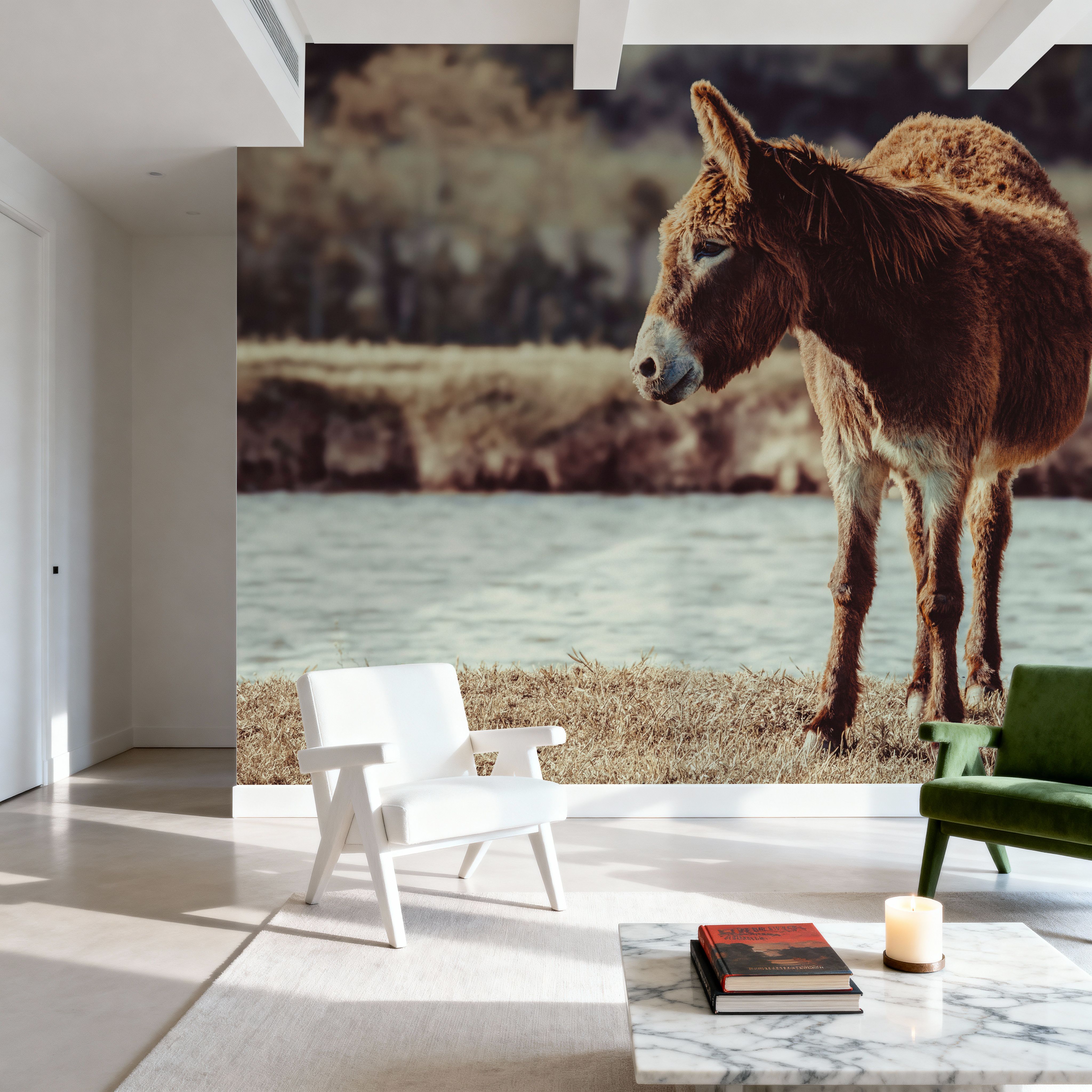 Donkey Summer I