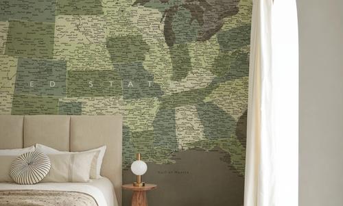 US Map Detailed - Camo