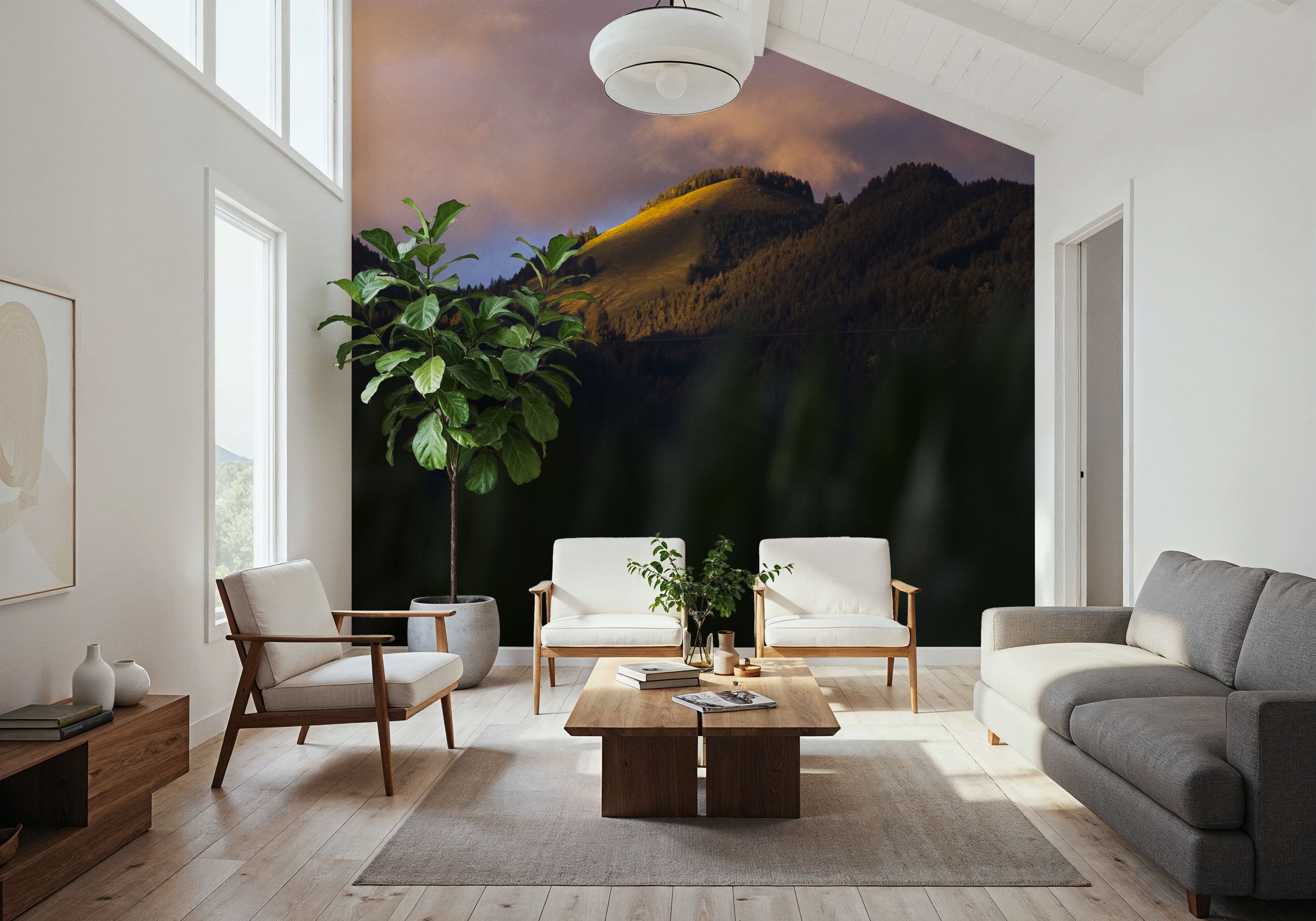 Vorarlberg Light, Tapeten