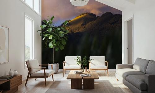 Vorarlberg Light
