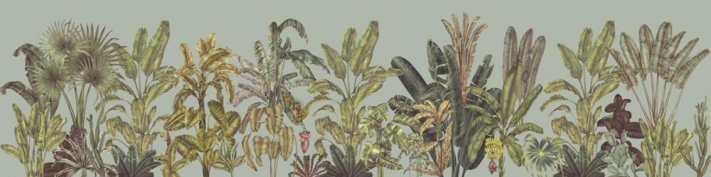 Madagascar Foliage, Sky