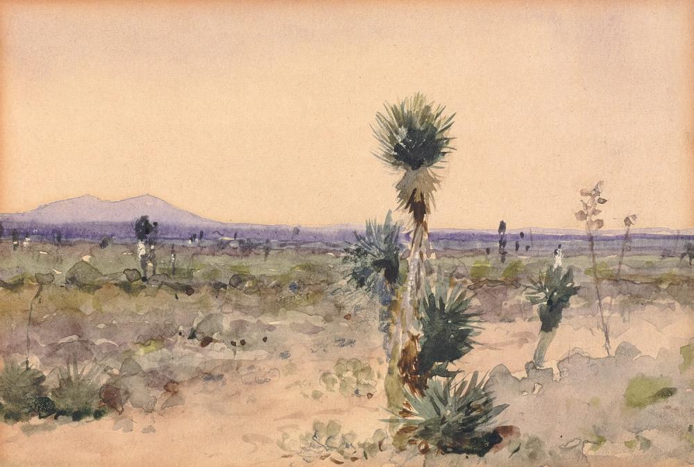 Yuccaland, Chihuahua