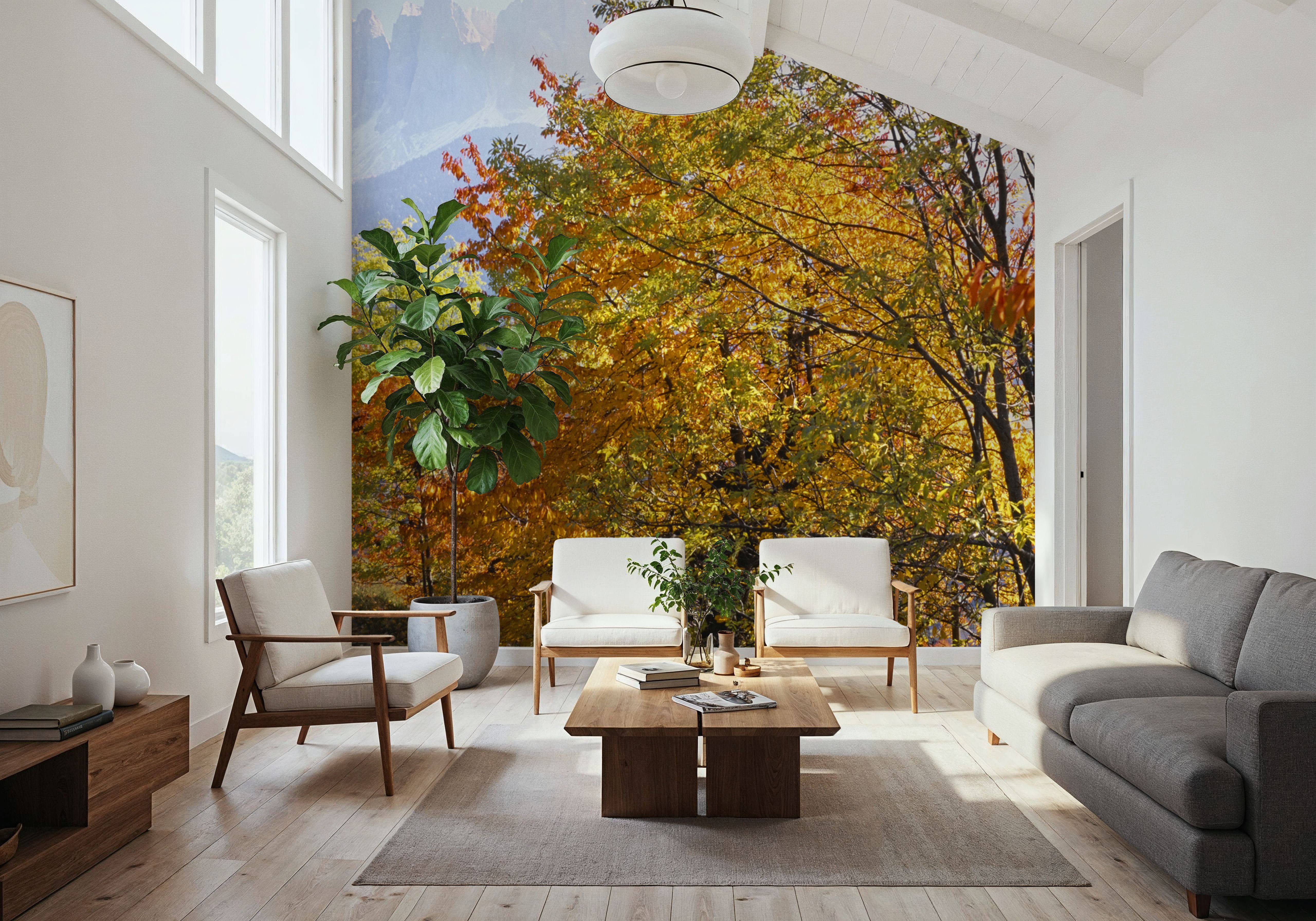 Autumn Mountain Glow