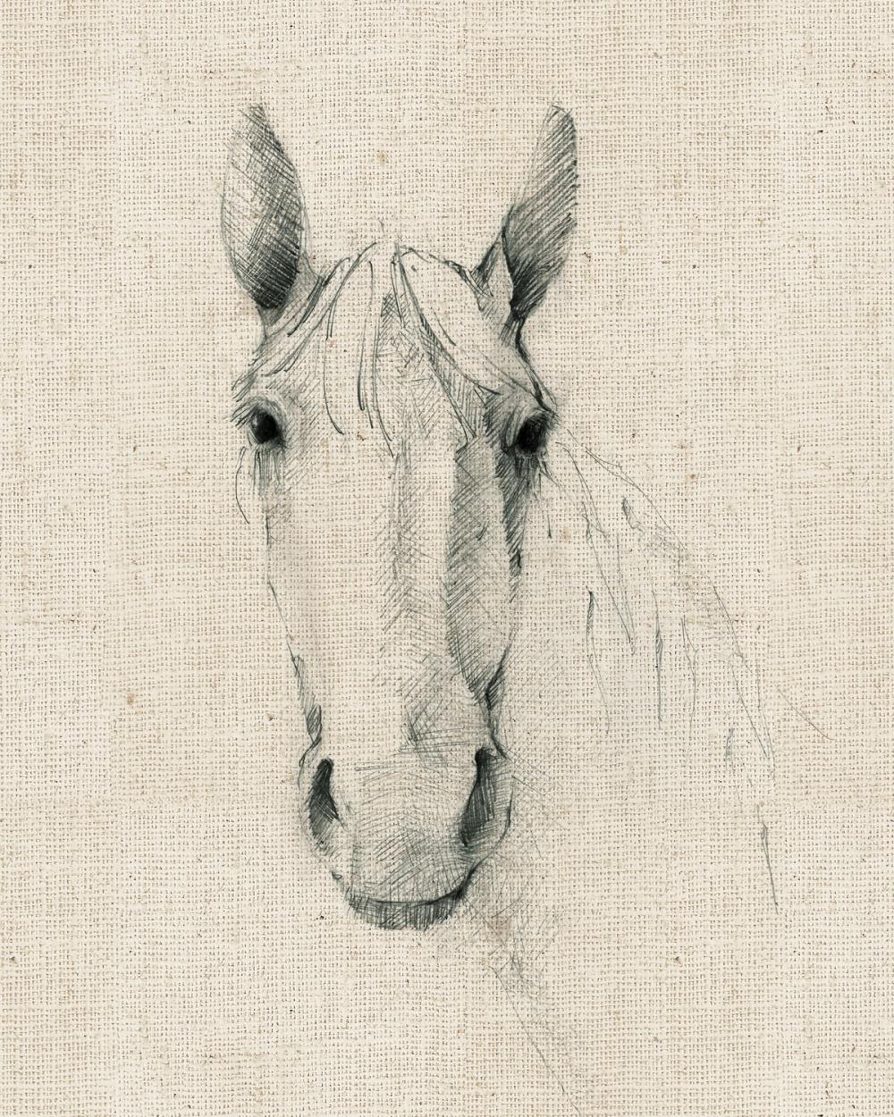 Horse Sketch on Burlap