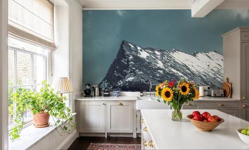 Jasper Mountain Series II