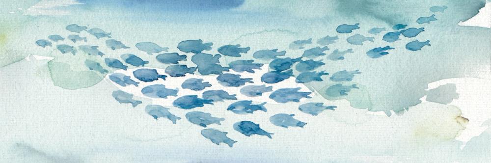 Sea Life I
