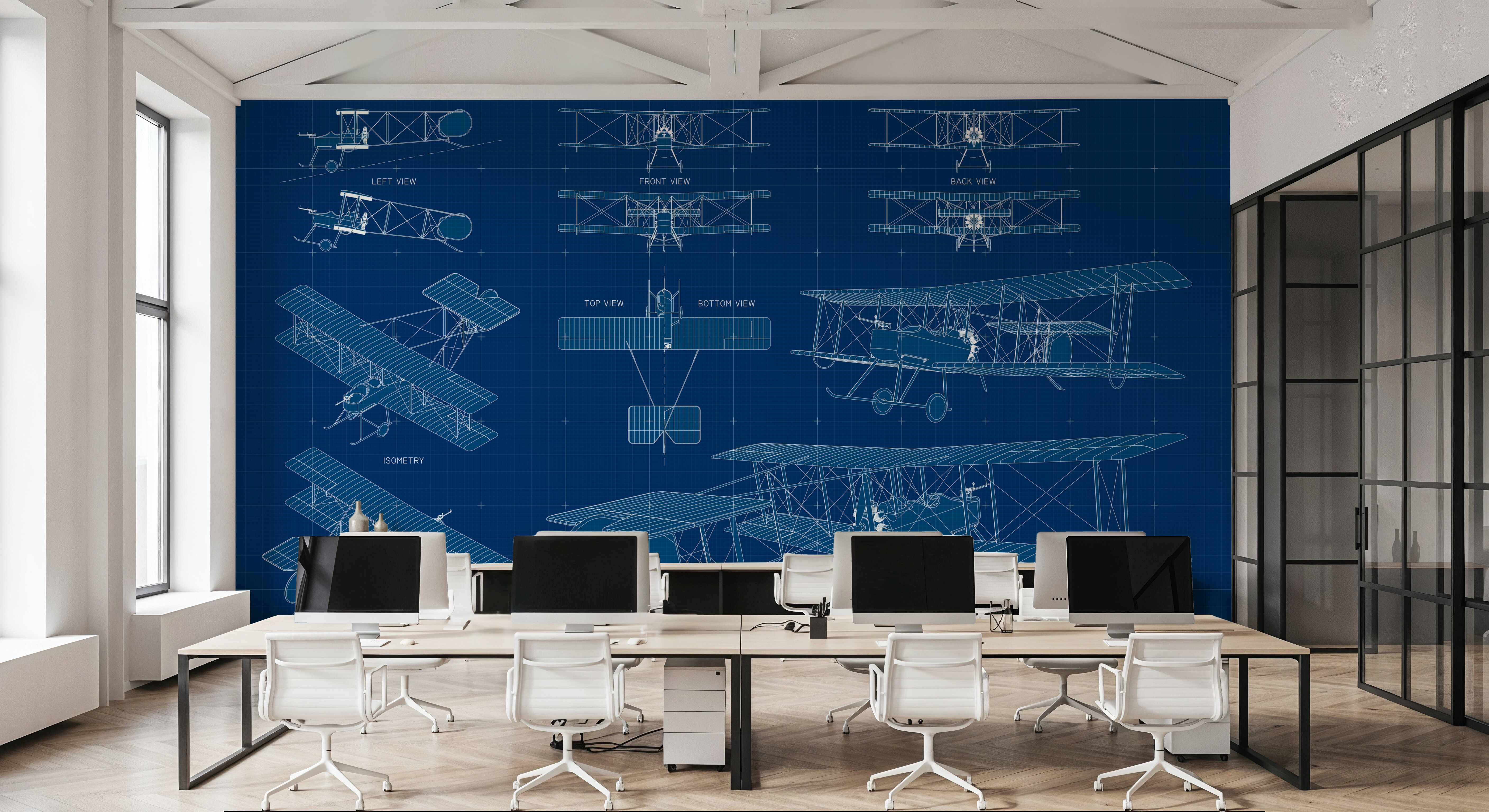 Single Biplane Blueprint