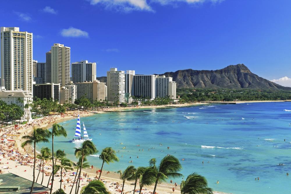 Coastal Paradise Skyline