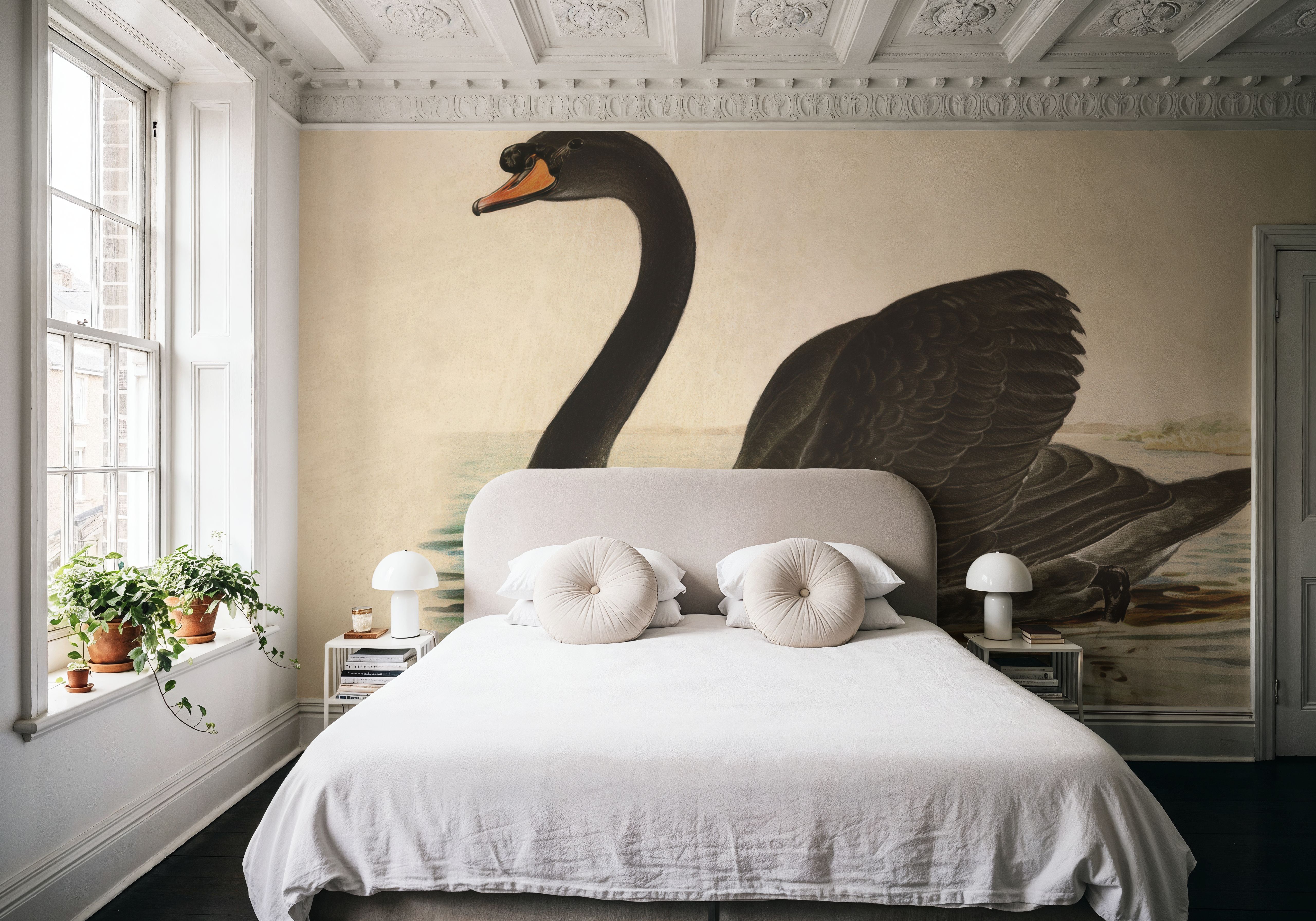Antique Black Swan