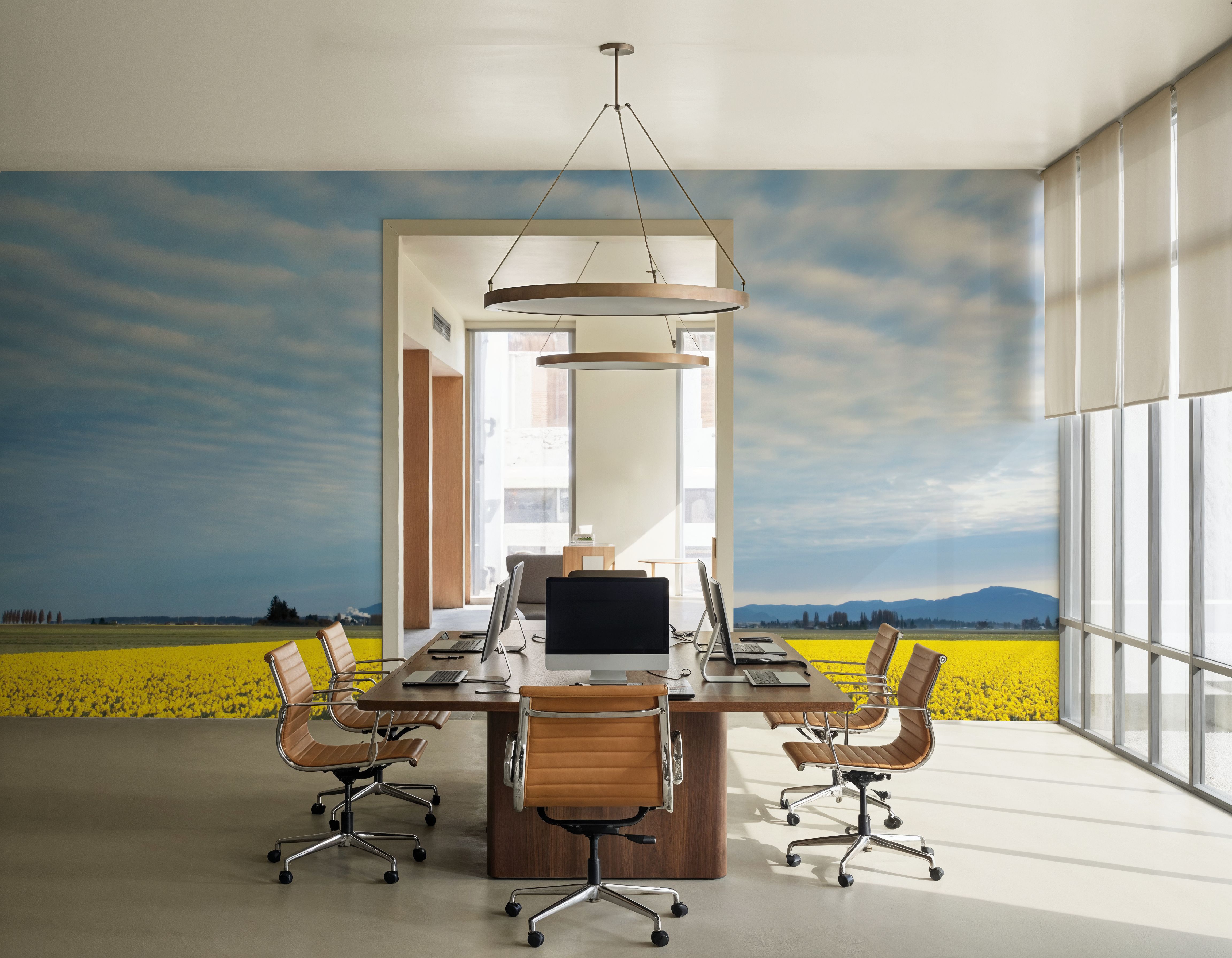 Skagit Valley Daffodils