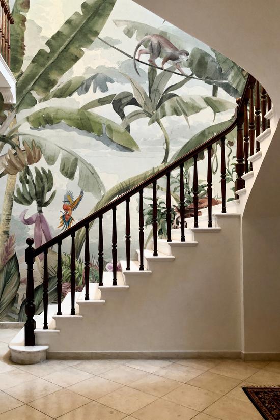 Tropic Fantasy