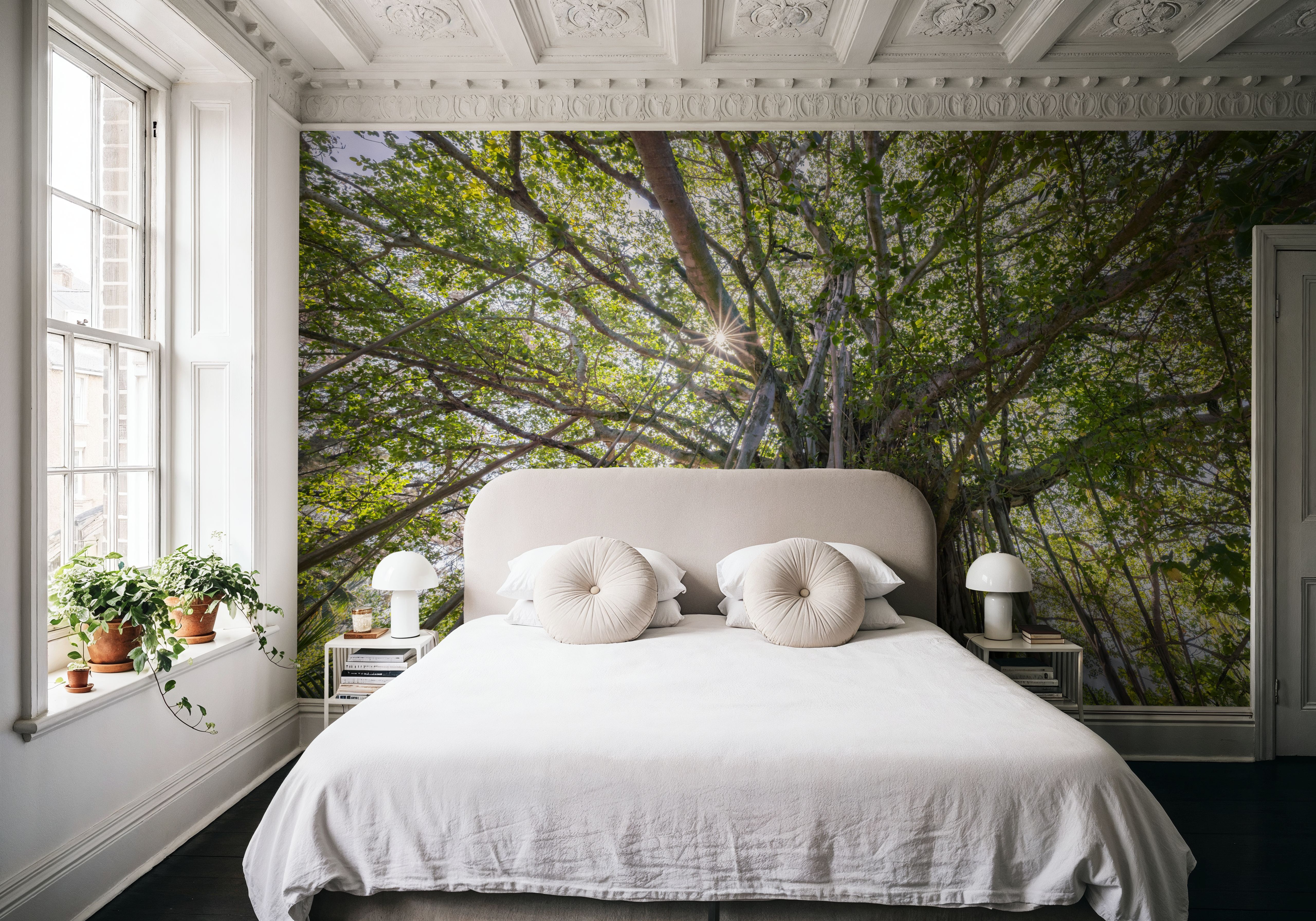 Banyan Tree, Wallpaper
