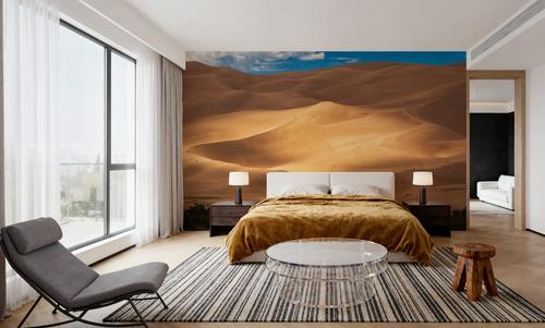 Sunlit Dune
