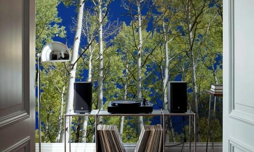 Cobalt Birch Forest