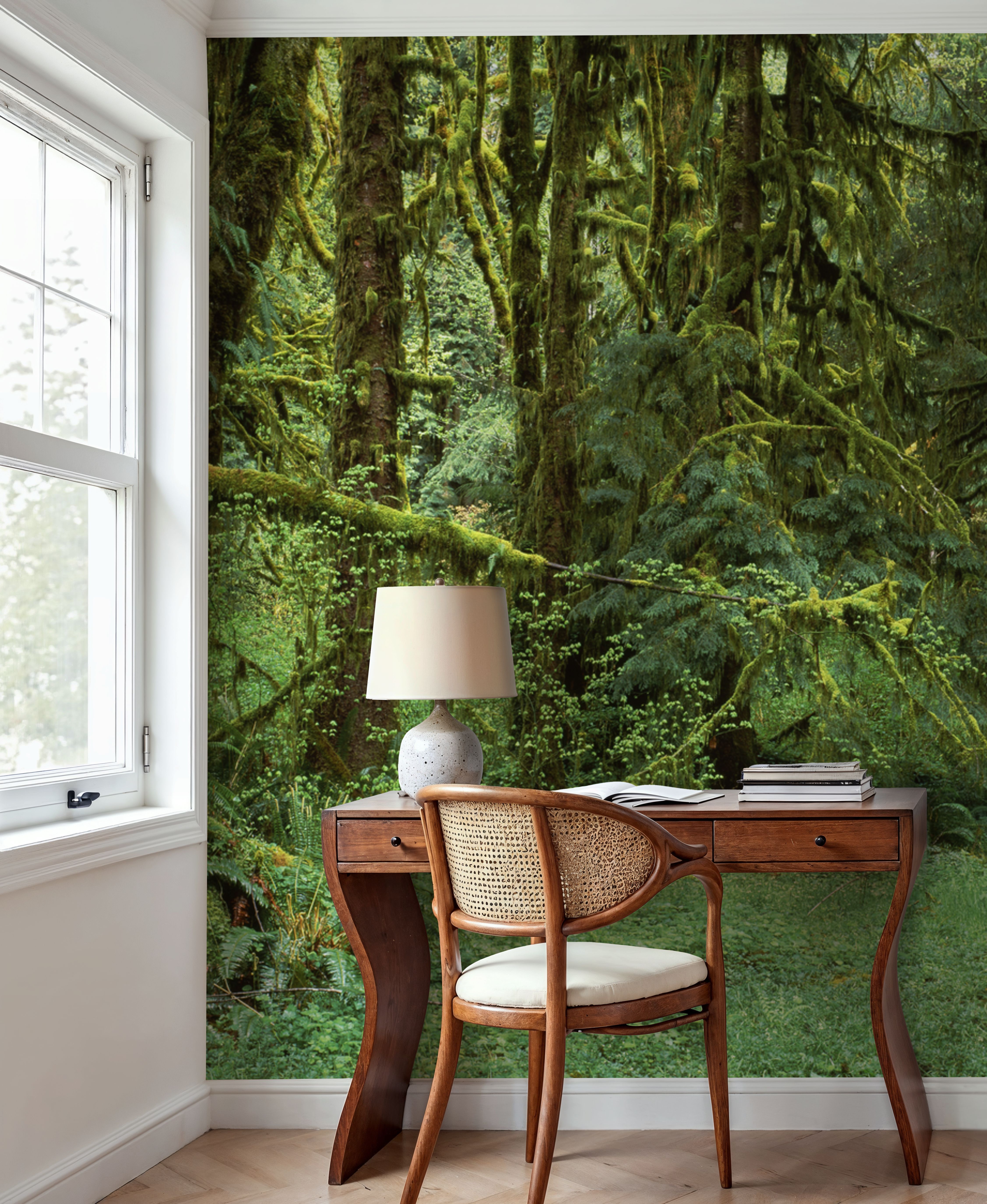 Hoh Rain Forest, Washington State