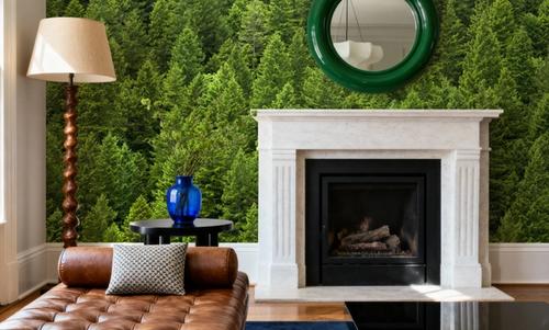Evergreen Canopy