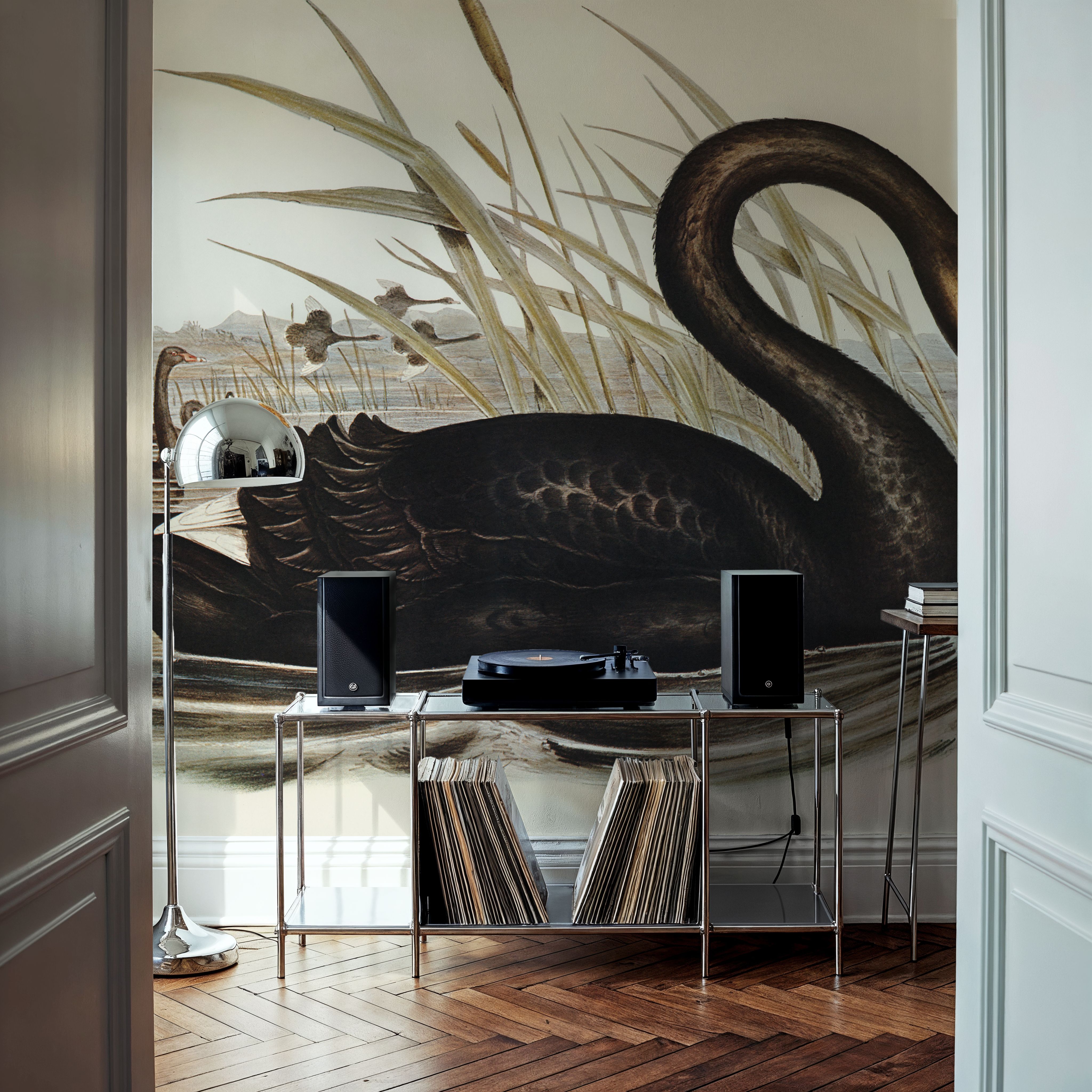 Black Swan Vintage Book