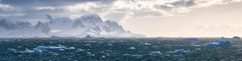 The Water Looks Cold