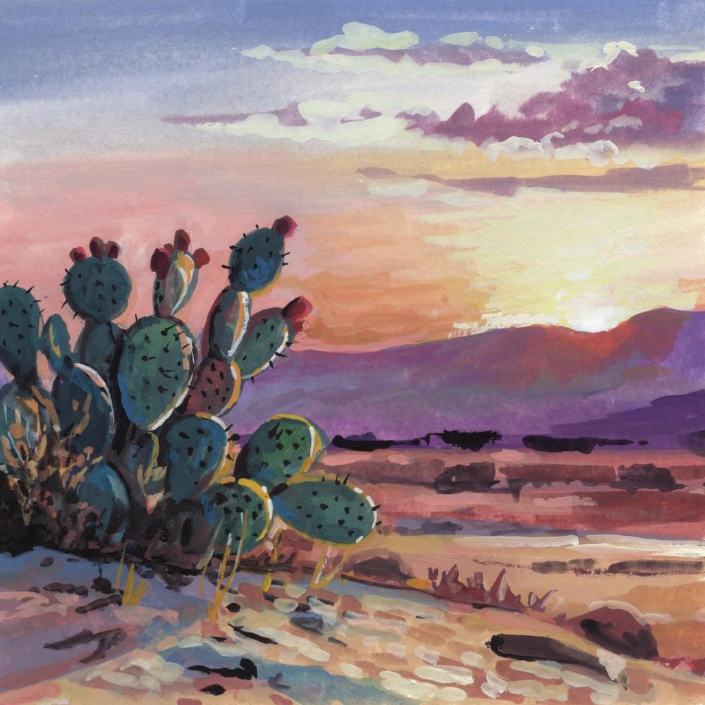 Cacti Sunset
