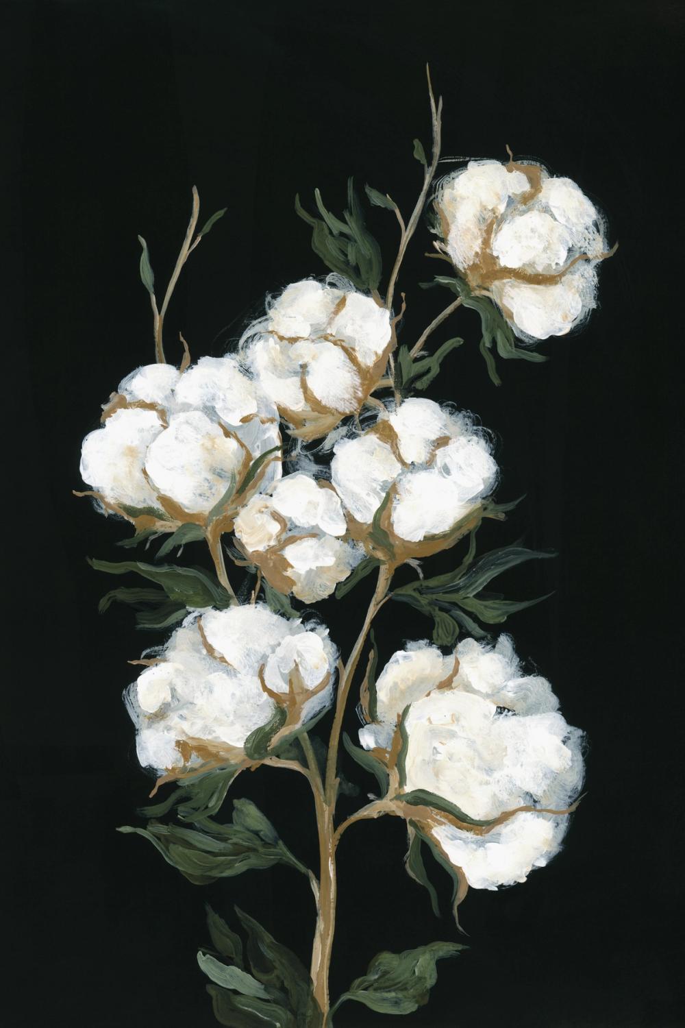 Vintage Stems of Cotton