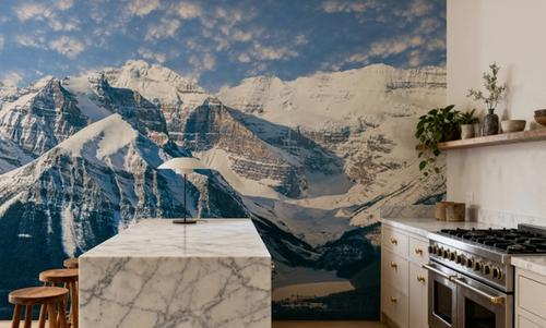 Banff Study