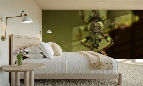 Green Beetle II